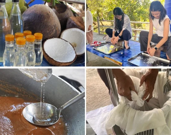 オーガニックココナッツオイル作り＆タイ伝統菓子「カノムトム」づくり